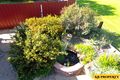 Property photo of 70 Oakham Street Boggabri NSW 2382