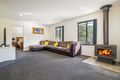 Property photo of 333 Judds Creek Road Judbury TAS 7109