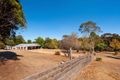Property photo of 124 Blackjack Road Harcourt VIC 3453