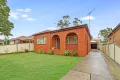 Property photo of 223 Northam Avenue Bankstown NSW 2200