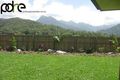 Property photo of 17 Gerygone Close Mossman QLD 4873