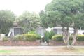 Property photo of 29 Percy Street St Albans VIC 3021