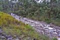 Property photo of 642 Charleys Gully Road Upper Freestone QLD 4370