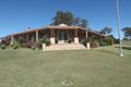 Property photo of 1 The Bunker Wingham NSW 2429