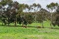 Property photo of 98 Lacey Road Bugle Ranges SA 5251