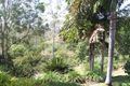 Property photo of 36 Sealark Cove Karalee QLD 4306