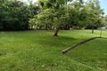 Property photo of 7-9 Pimpala Street Loganlea QLD 4131