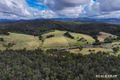Property photo of 23 Summerhill Road Greigs Flat NSW 2549