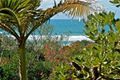 Property photo of 13/388 David Low Way Peregian Beach QLD 4573