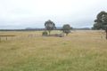 Property photo of 4864 Castlereagh Highway Capertee NSW 2846