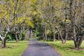 Property photo of 799 Mount Scanzi Road Budgong NSW 2577