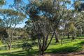 Property photo of 88 Kingfisher Drive Clare SA 5453
