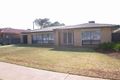 Property photo of 1A Elgin Avenue Warradale SA 5046