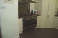 Property photo of 213 Paterson Road Bolwarra Heights NSW 2320
