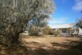 Property photo of 12387 Sturt Highway Waikerie SA 5330