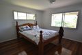 Property photo of 49 Serafini Drive Sandy Creek QLD 4515