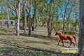 Property photo of 98 Camp Mountain Road Camp Mountain QLD 4520