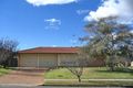 Property photo of 81 Calandra Avenue Quakers Hill NSW 2763