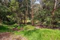 Property photo of 77 Mount Pleasant Avenue Wahroonga NSW 2076
