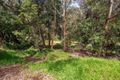 Property photo of 77 Mount Pleasant Avenue Wahroonga NSW 2076