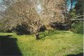 Property photo of 10 Frayne Street Goolwa Beach SA 5214
