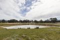 Property photo of 147 Back Amphitheatre Road Amphitheatre VIC 3468
