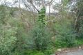 Property photo of 12 Ti Tree Crescent Berowra NSW 2081