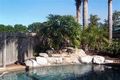 Property photo of 4 Jasmin Circle Bokarina QLD 4575
