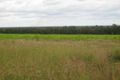 Property photo of 94 Neighbours Road Redridge QLD 4660
