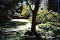 Property photo of 16 Radio Avenue Balgowlah Heights NSW 2093