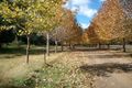 Property photo of 567 Bakers Road Mount Colliery QLD 4370