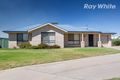 Property photo of 1/8 Hall Court Howlong NSW 2643