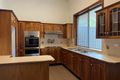 Property photo of 37 Wentworth Street Tempe NSW 2044
