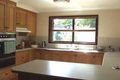 Property photo of 19 Giselle Avenue Wyoming NSW 2250