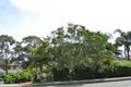 Property photo of 59A Allambie Road Allambie Heights NSW 2100
