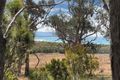 Property photo of 18127 Tasman Highway Bicheno TAS 7215