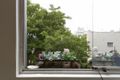 Property photo of 136/40 Bayswater Road Rushcutters Bay NSW 2011