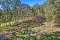 Property photo of 182 Quilty Road Rock Valley NSW 2480