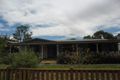Property photo of 33 Livingstone Street Perenjori WA 6620