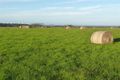 Property photo of 715 Back Line Road Forest TAS 7330