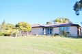 Property photo of 97 Spring Creek Road Young NSW 2594