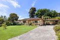 Property photo of 98 Hull Road Croydon VIC 3136