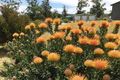 Property photo of 201 Craiglea Road Campania TAS 7026