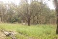 Property photo of 403 Lemon Tree Passage Road Salt Ash NSW 2318