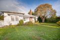 Property photo of 14 Cressy Street Camperdown VIC 3260