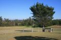 Property photo of 32 Glenduart Grove Moruya NSW 2537