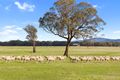 Property photo of 323 Hokins Road Ravenswood VIC 3453