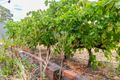 Property photo of 16 New Bond Street Midland WA 6056