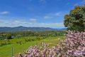 Property photo of 238 Clear View Road Crabtree TAS 7109