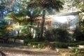 Property photo of 17 Alice Street Sassafras VIC 3787